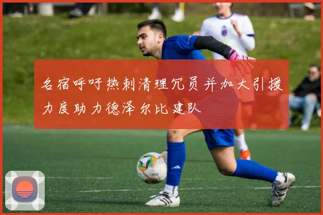 名宿呼吁热刺清理冗员并加大引援力度助力德泽尔比建队